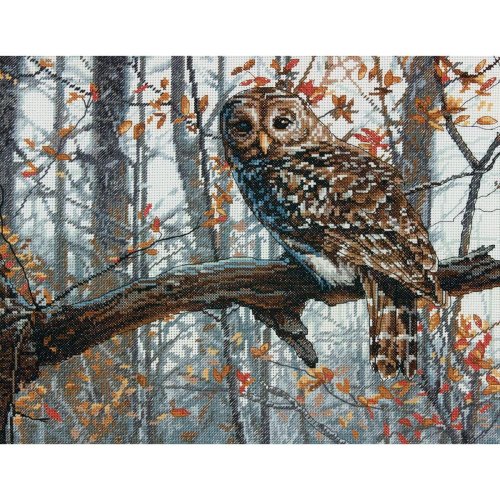 (image for) Wise Owl Counted Cross Stitch Kit